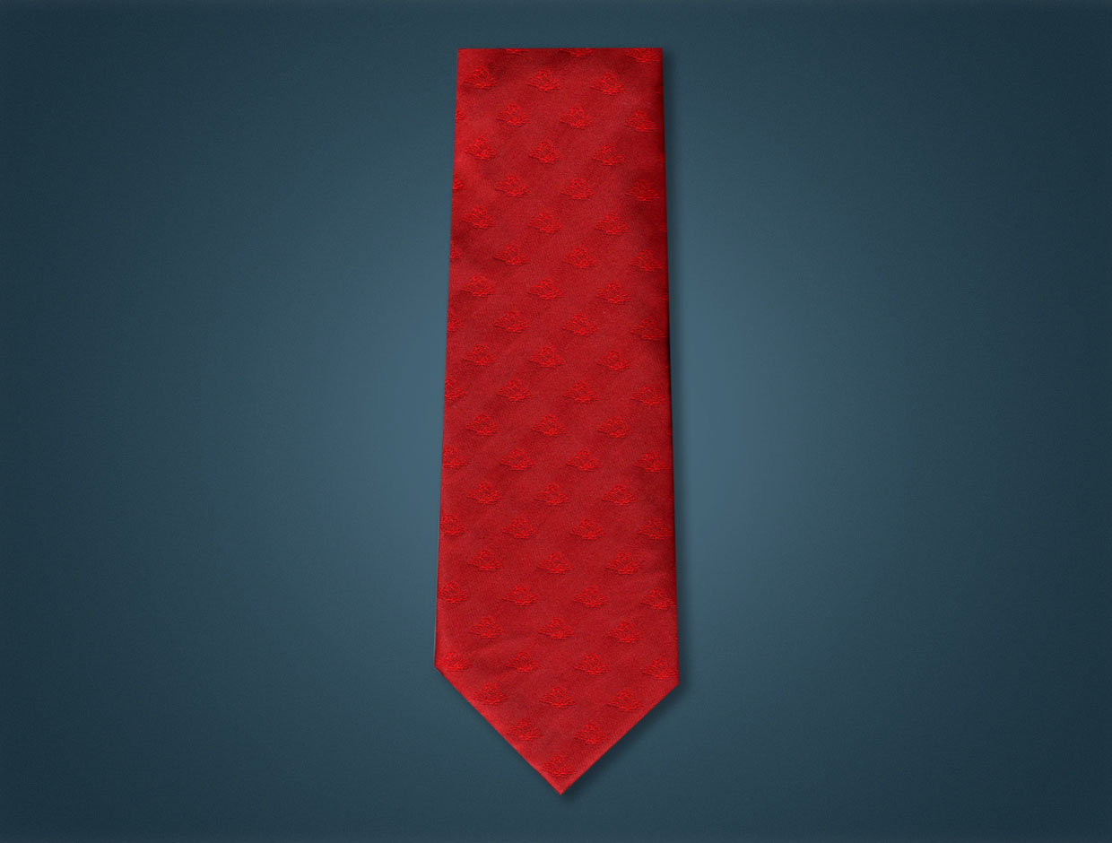 Rotary 2015-16 Theme Silk Tie