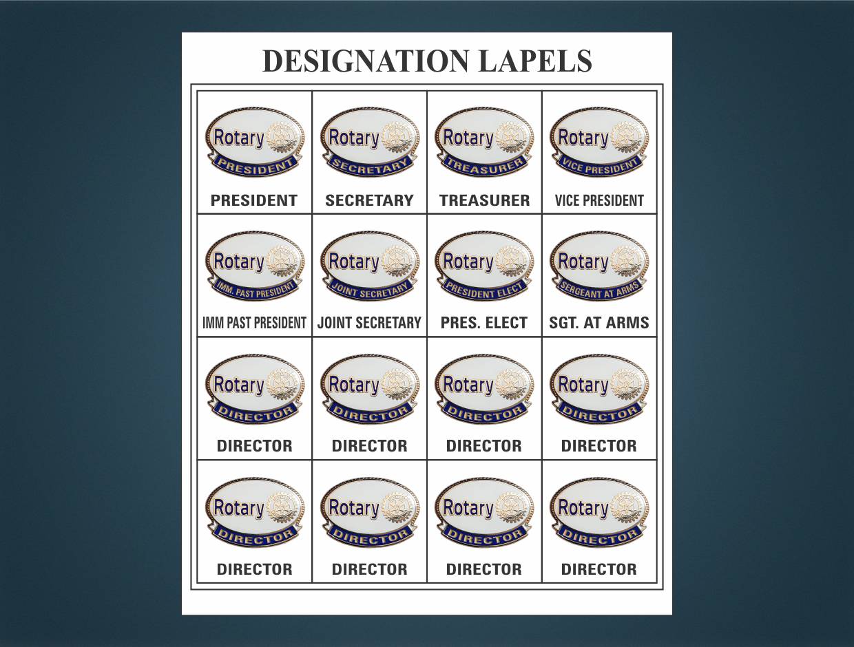 Rotary Designations Lapel Pins (Set Of 16)