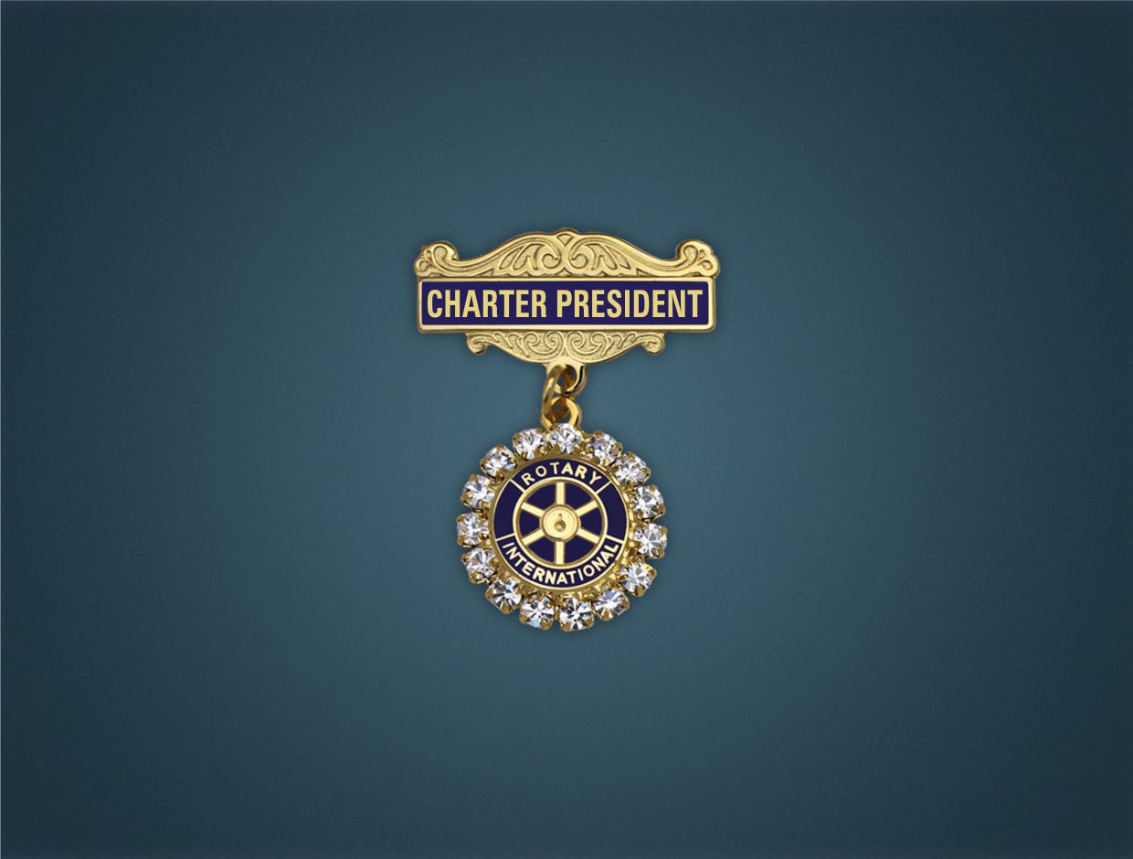 Rotary Charter Designation Stone Lapel Pin