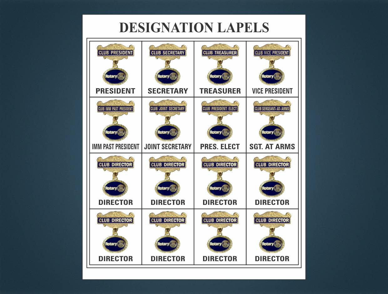 Rotary Designations Lapel Pins (Set of 16)