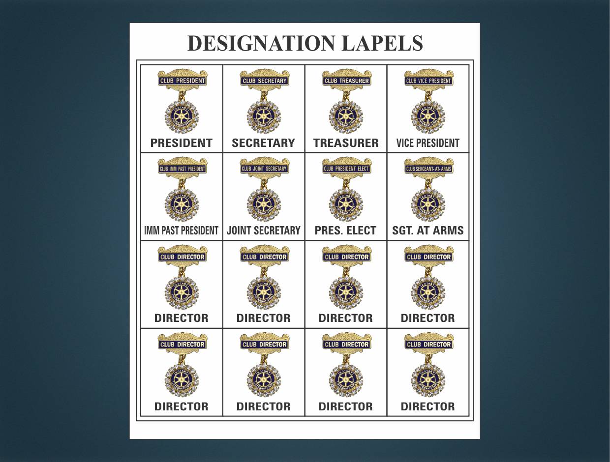 Rotary Stone Designations Lapel Pin (Set of 16)